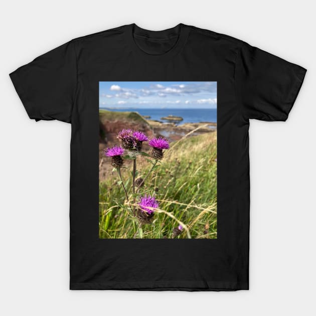 Flower of Scotland T-Shirt by RachelT72